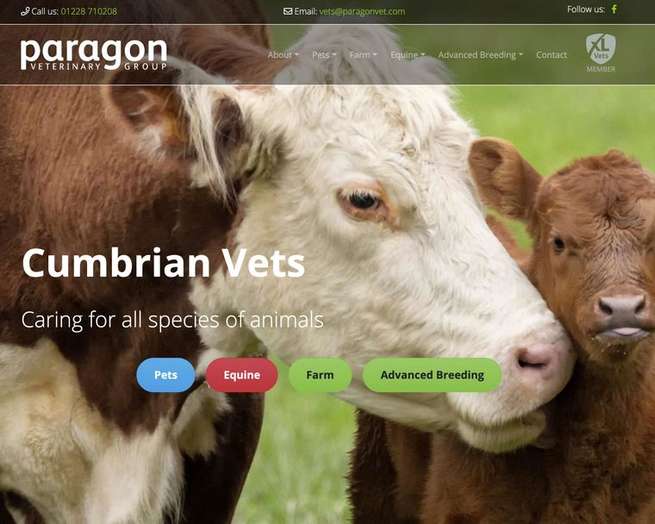 Screenshot of the homepage from the Paragon Statamic site