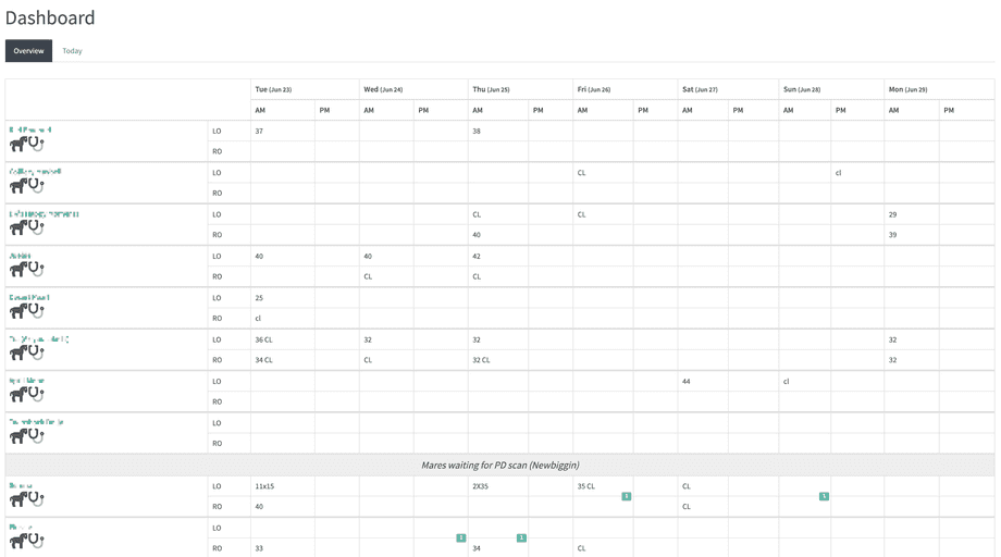 Screenshot of the dashboard from the Paragon Equines bespoke Laravel application