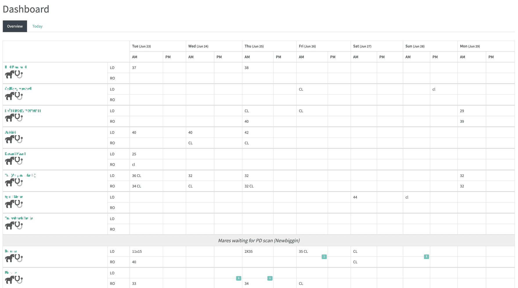 Screenshot taken from the Laravel and VueJS dashboard for Paragon Equine. Laravel development and bespoke software by Arrow.